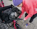 muli-cycles_muli_motor_eu_-_elektro_lastenrad_mit_hundeklappe_2025__vanilla_pop-003_119469_2200x1760.webp