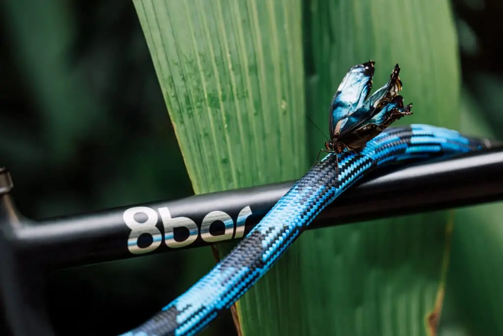 texlock_morpho_blue_01-1024x683.webp