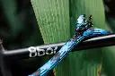 texlock_morpho_blue_01-1024x683.webp