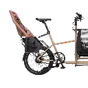 Gepcäträger - bearbeitet.webp