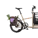 Gepcäträger2 - bearbeitet.webp