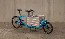 _DSC07456_.webp